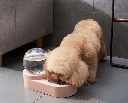 Miniatura: Plato Doble - Comedero con bebedero dispensador 1.8 Litros