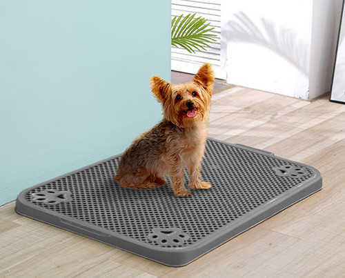 Baño Sanitario Bandeja Sanitaria Para Perros Wc Perros Inodoro