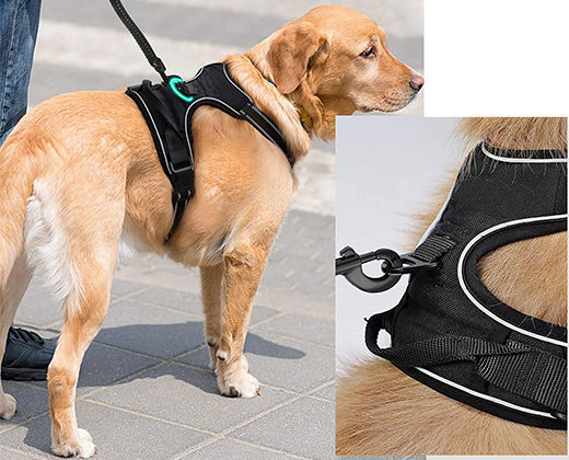 Miniatura: Arnés Doble Enganche - Anti tirones