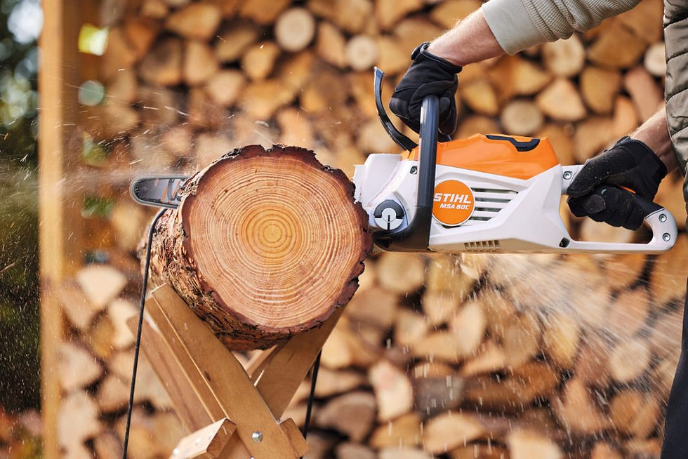 Miniature : Scie à chaîne Stihl à batterie MSA 80 C-BQ