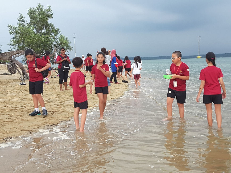 pasir chuban