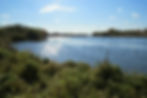 Lake Vermillion Area.jpg