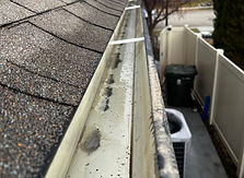 Before a gutter cleaning job