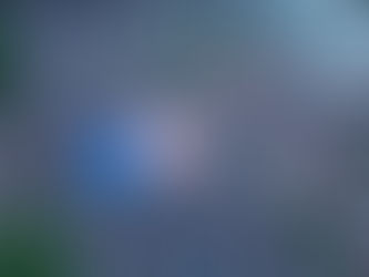 Das Dilemma des kollektiven Willens