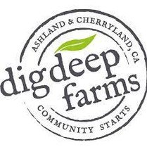 DIG DEEP FARMS