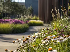 Jardines con gramíneas para atraer aves canoras: belleza, biodiversidad y buen humor