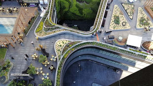 Innovación en Infraestructura Verde: Sistemas de Paisajismo Sustentable en la Ciudad de México