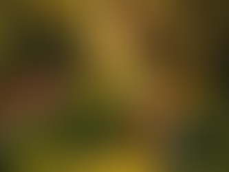 Inteligencia artificial en el paisajismo: cómo diseñar con tecnología sin perder la sensibilidad