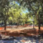 Zona de construcción delimitada con malla naranja para proteger raíces de árboles maduros. Ejemplo de buenas prácticas de manejo de arbolado urbano durante obra civil.