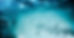 AdobeStock_90039968.jpeg