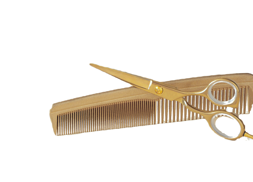 Scissors and Comb_edited_edited.png
