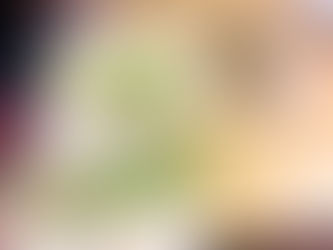 Fieldwork August 2025