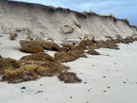 Paul Rooney visits Eoligarry Beach