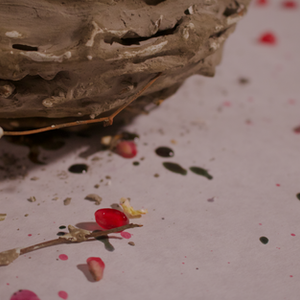 Formalism of Muliebrity No. I