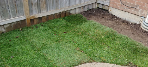 sod installation
landscaping