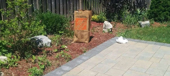 Garden bed before cleanup and new mulch