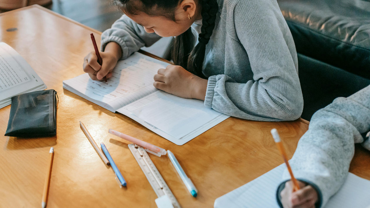 The Importance of Effort in Educational Attainment 