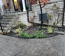 Gardening work photo