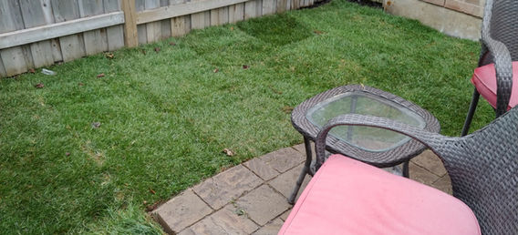 sod installation
landscaping