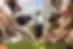 CHI_2116-Enhanced-NR.webp
