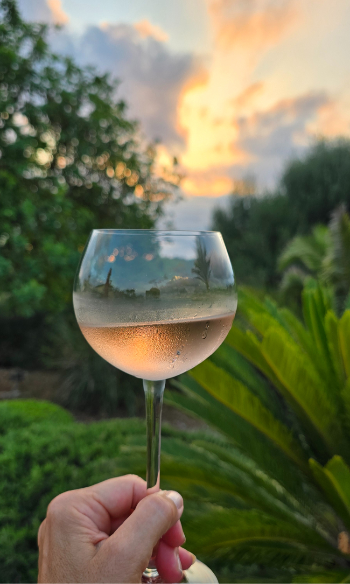 Discover Bonviva in the Latest Weinguide-Magazin!