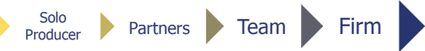 Financial Advisor Continuum Graphic-01.p