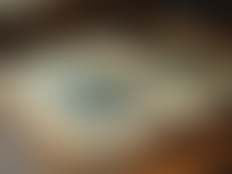 Old family photos ina  vintage album