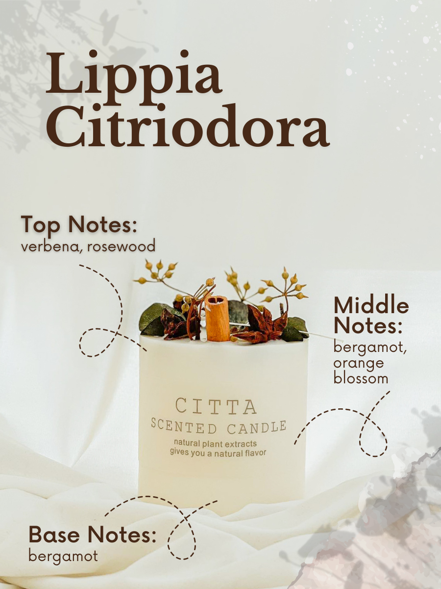 Thumbnail: Citta Candles - "FRANCES" Lippia Citriodora Scent