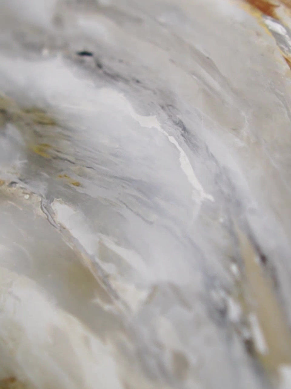 Прев'ю: Stucco veneziano Maxima decor - Декоративне покриття з ефектом мармуру (венеціан