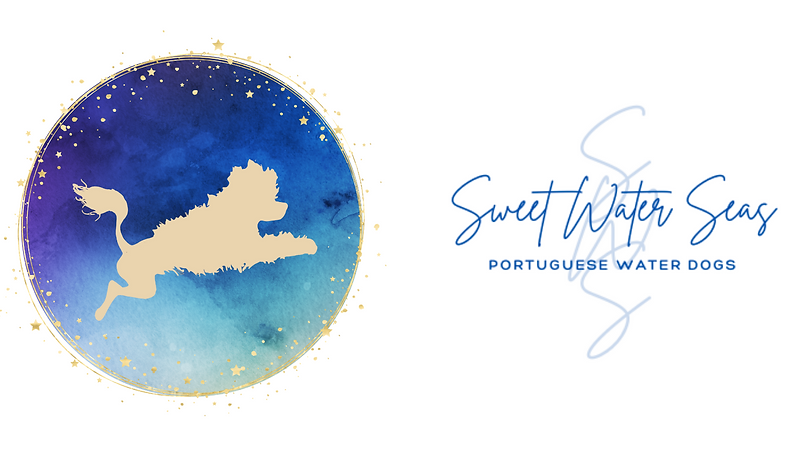 SWSeasFBcover (1).png