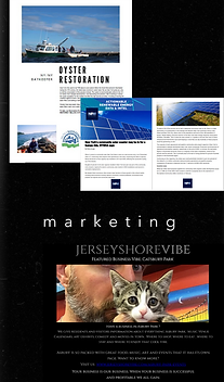website creation