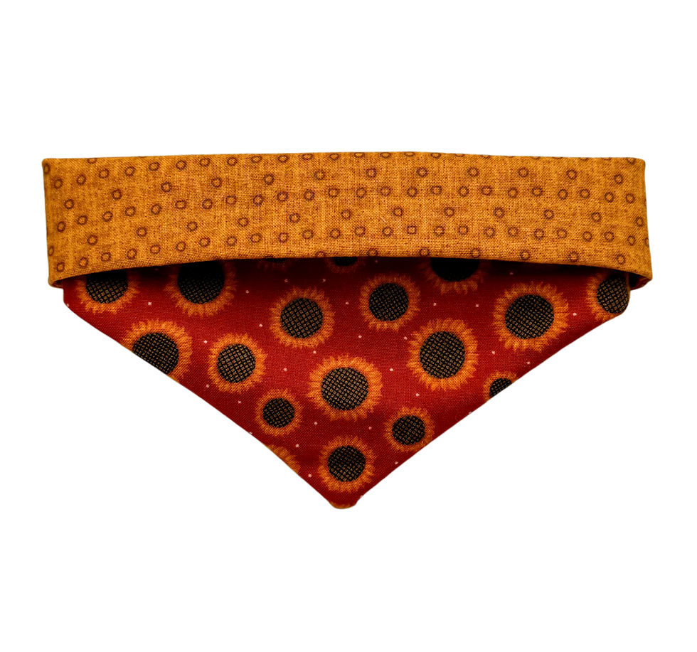 Fields of Pawsitivity Bandana