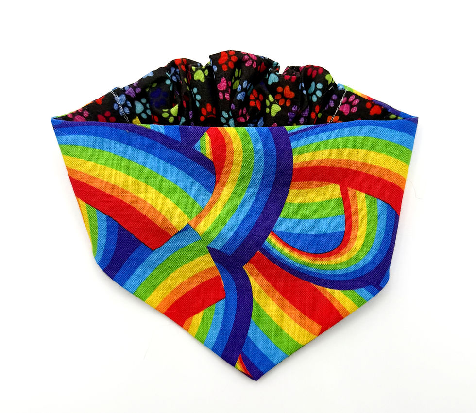 Rainbow Bandana