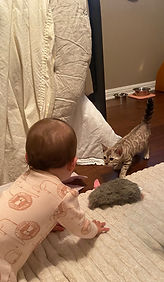IMG_2599.jpeg