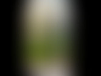 The NEW Edjacent: Empowering YOU to Make a Difference!