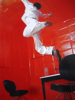 art de struc 527.jpg
