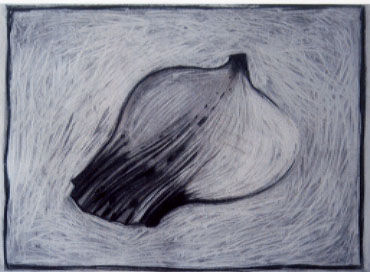 blk charcoal 3 2006.jpg