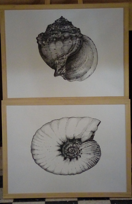 21062019 ^phone 012.jpg