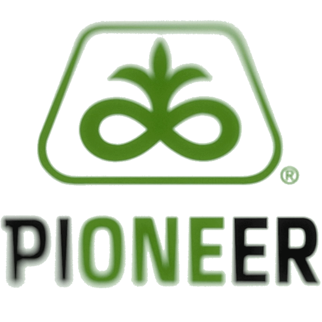 Pioneer Old to New Logo Animation.gif