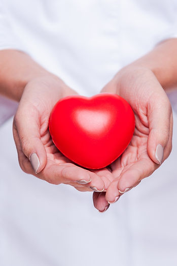 SG 14 Day Info Bifold_heart_edited.jpg