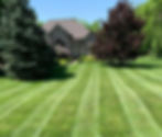 Lawn care