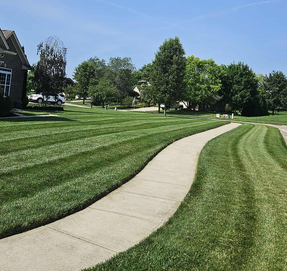 Lawn Service In Springboro, Ohio