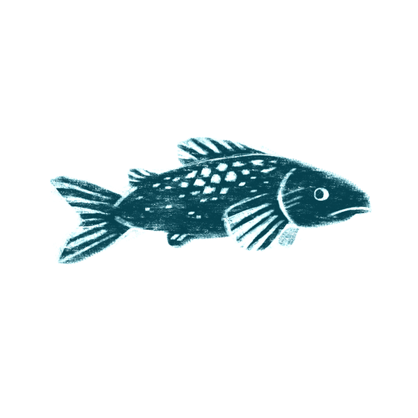fishicon_edited_edited.png
