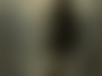 Adriano Romualdi, "Julius Evola: l'uomo e l'opera", 1968, p.47, edizioni di AR