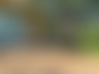 Factors to Consider When Choosing a Roofing Contractor