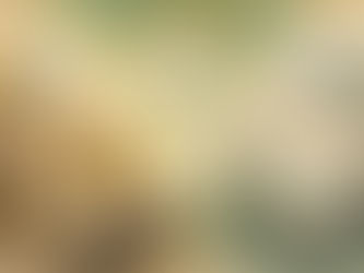 Best RPA Software for Growing Businesses in 2026