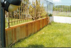 Iron-fox-prima.gif