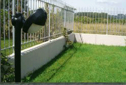 Iron-fox-dopo.gif