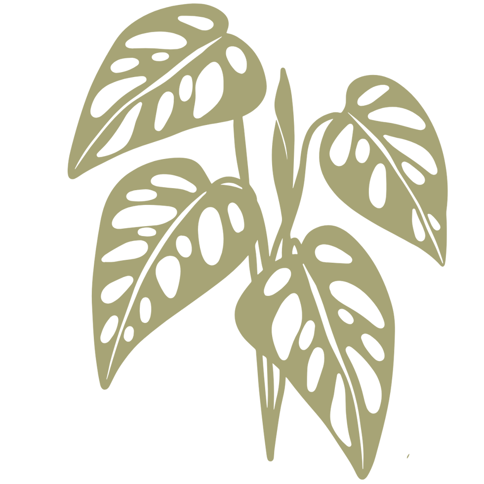Leaves_SoftGreen.png