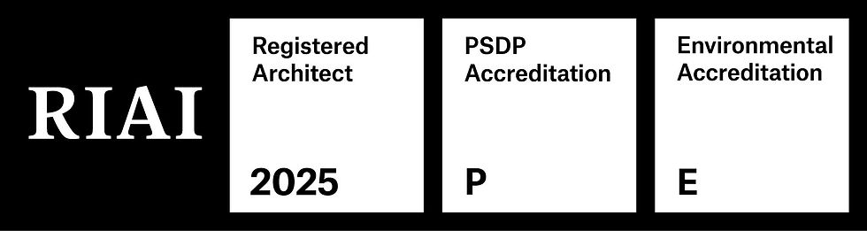 RIAI-A13-BW RGB-LG.jpg
